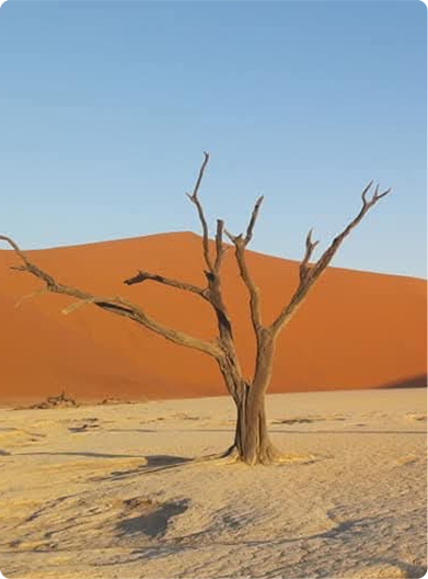 Sossusvlei